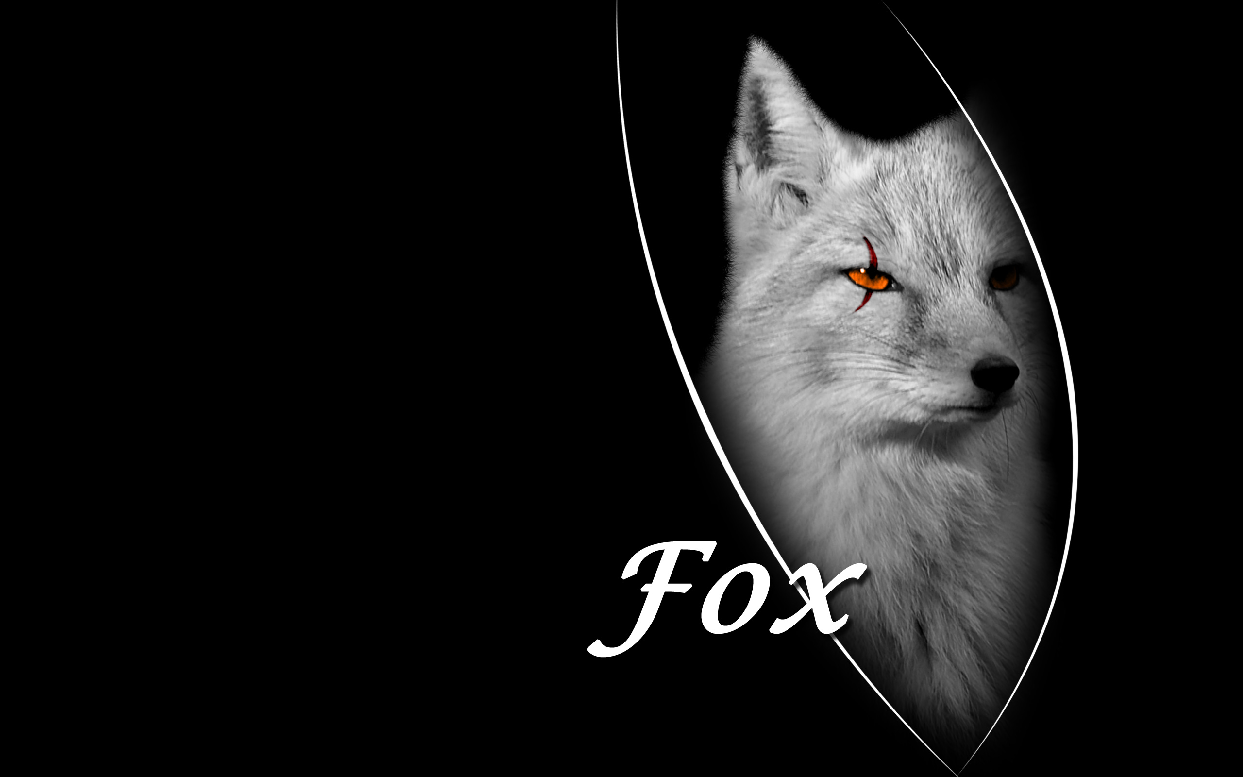 Art Arctic Fox Wallpapers