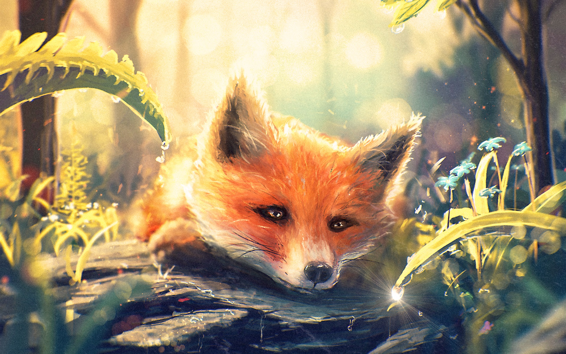 Art Fox Hd Wallpapers