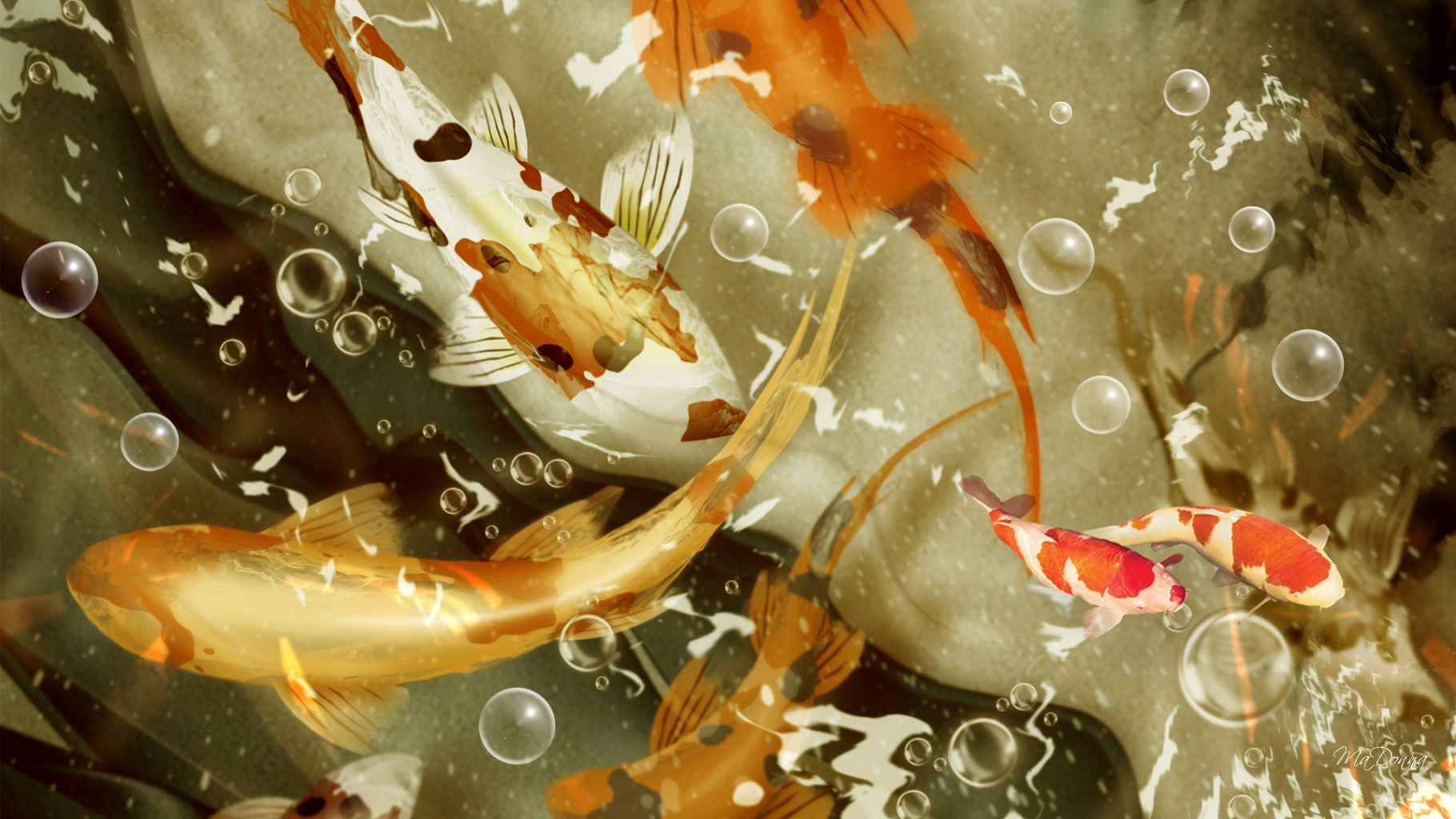 Art Koi Fish Wallpapers