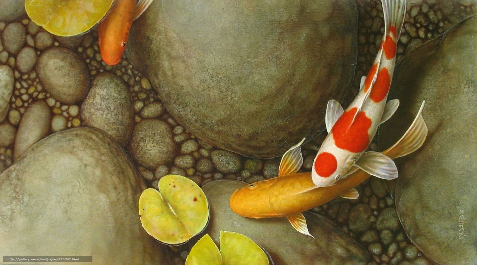 Art Koi Fish Wallpapers