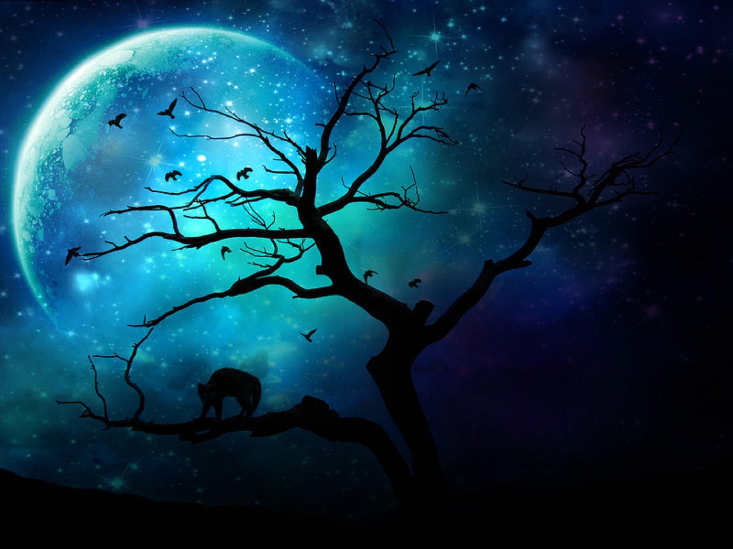 Artistic Moon Amazing Cool Wallpapers