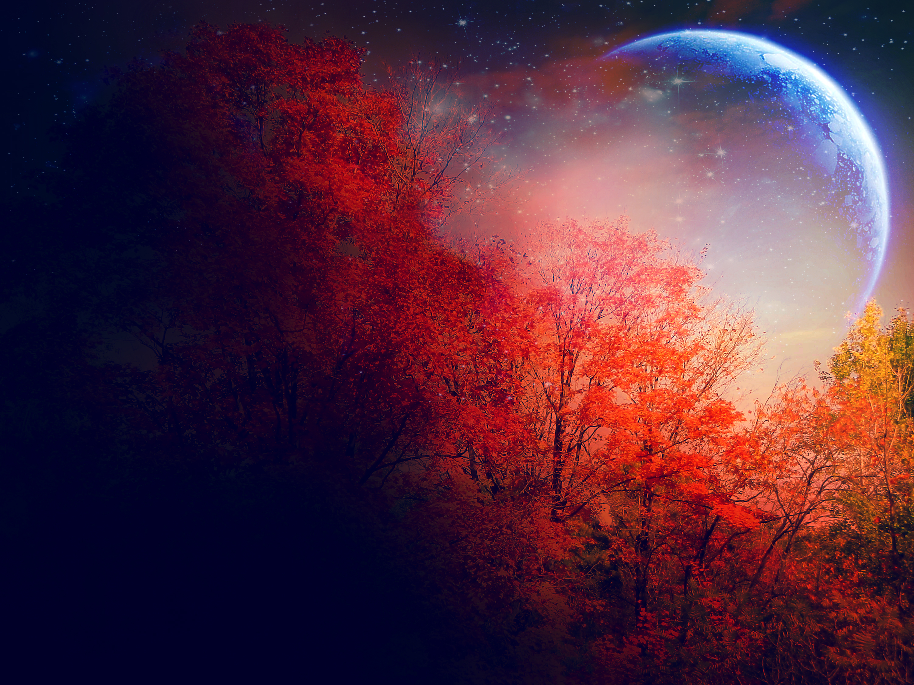 Artistic Moon Amazing Cool Wallpapers