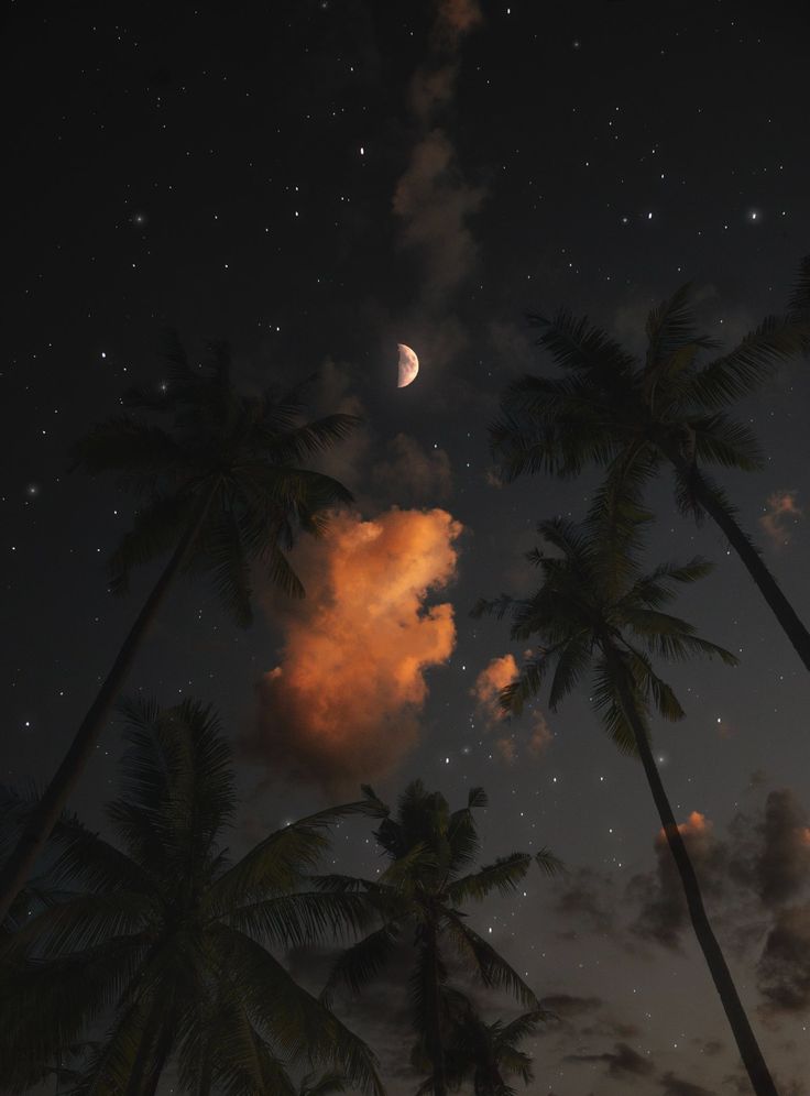 Artistic Night Sky And Moon Through Window Wallpapers