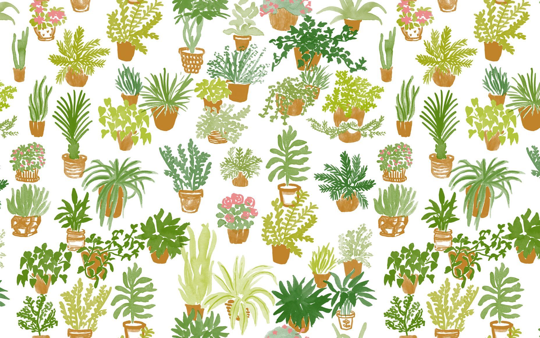 Artistic Plants Wallpapers