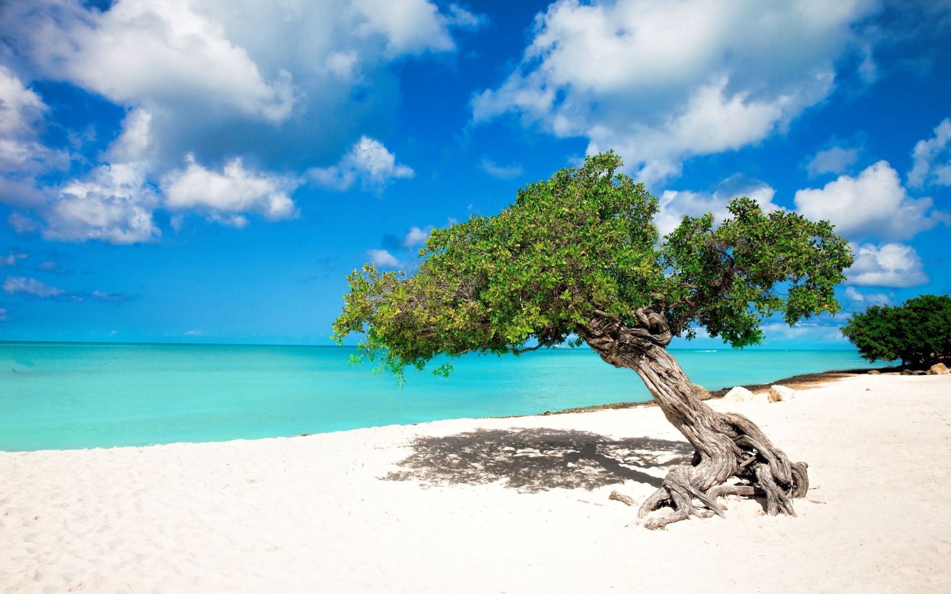 Aruba Desktop Wallpapers