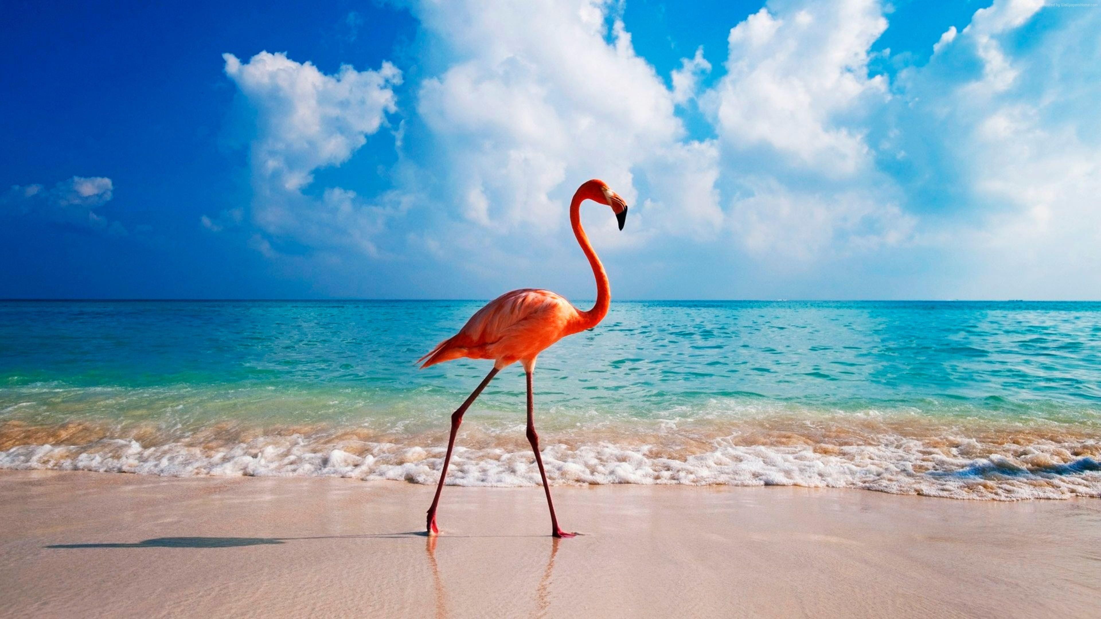 Aruba Desktop Wallpapers