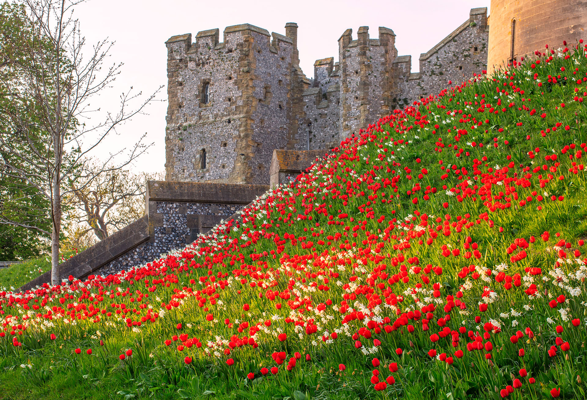 Arundel Castle Wallpapers