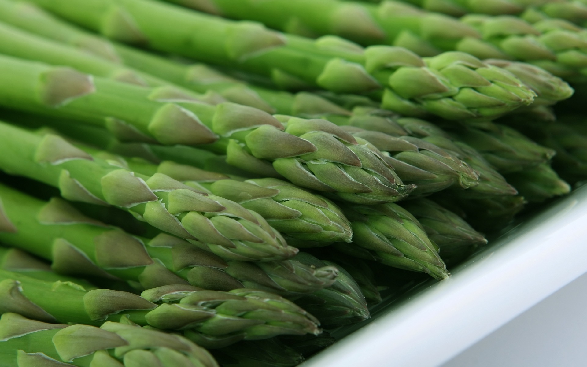 Asparagus Wallpapers