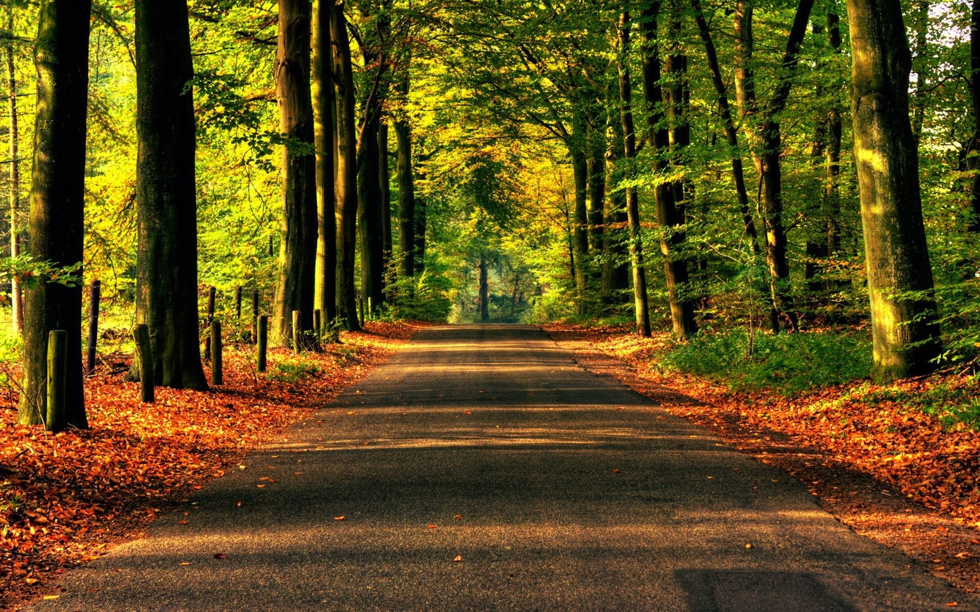 Asphalt Road Landscape Wallpapers