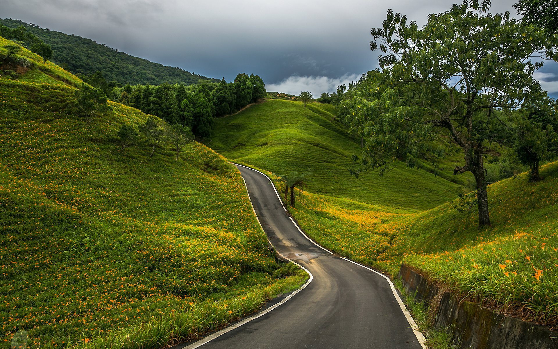 Asphalt Road Landscape Wallpapers