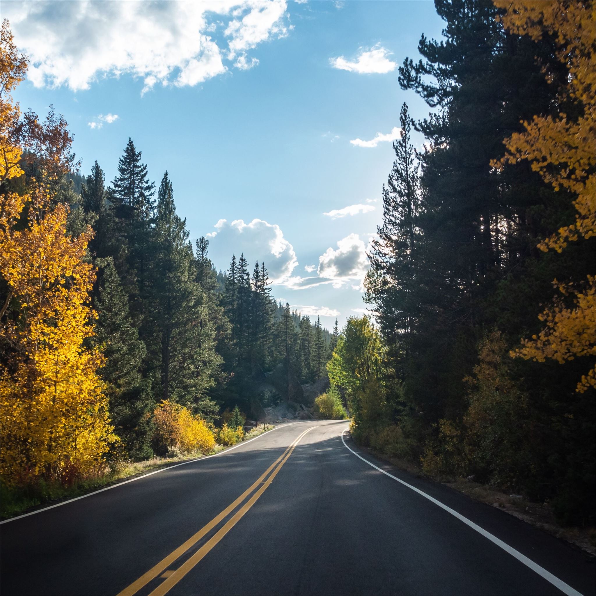 Asphalt Road Landscape Wallpapers