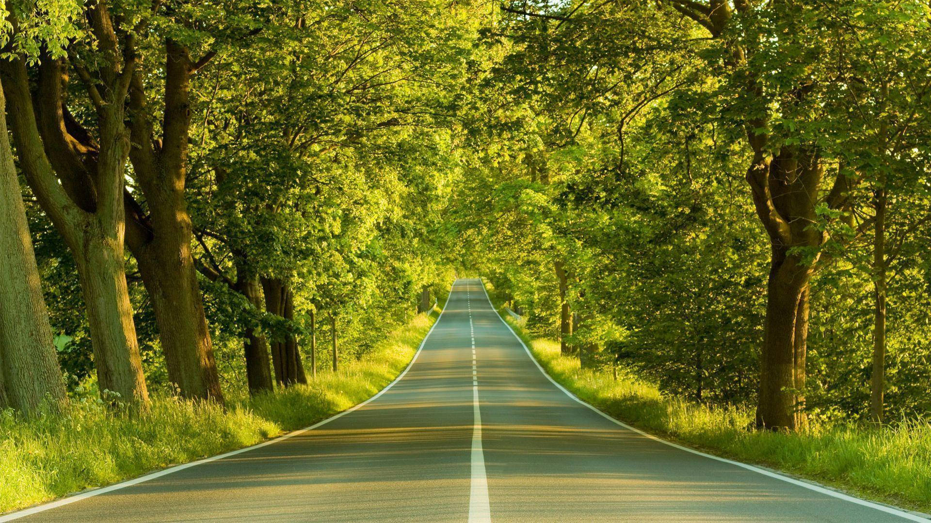 Asphalt Road Landscape Wallpapers