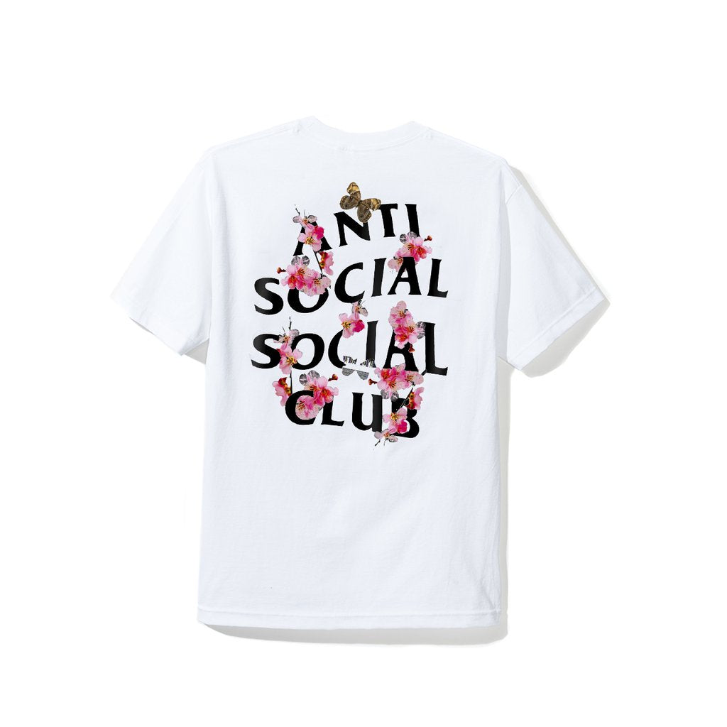 Assc Wallpapers