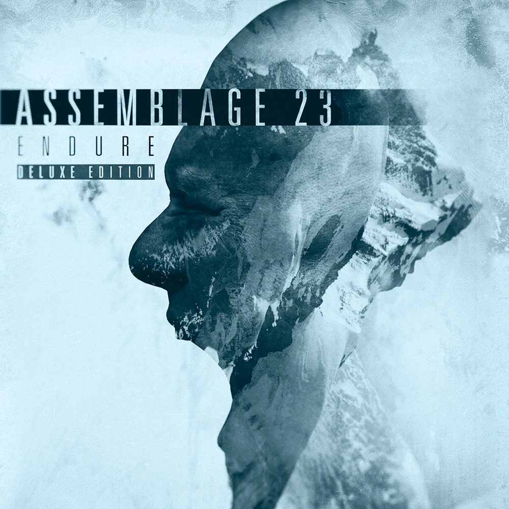 Assemblage 23 Wallpapers