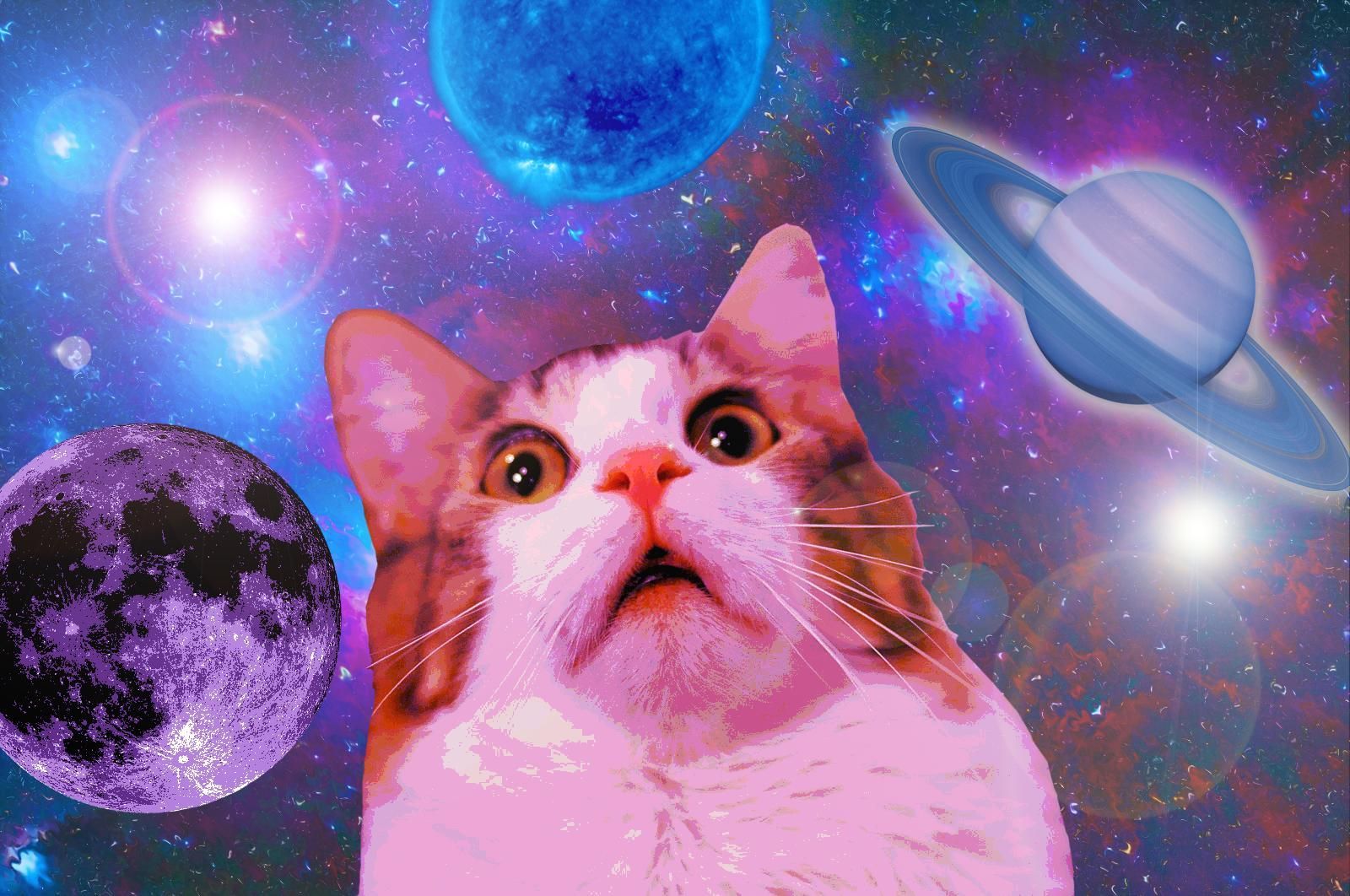 Astronaut Cat Wallpapers