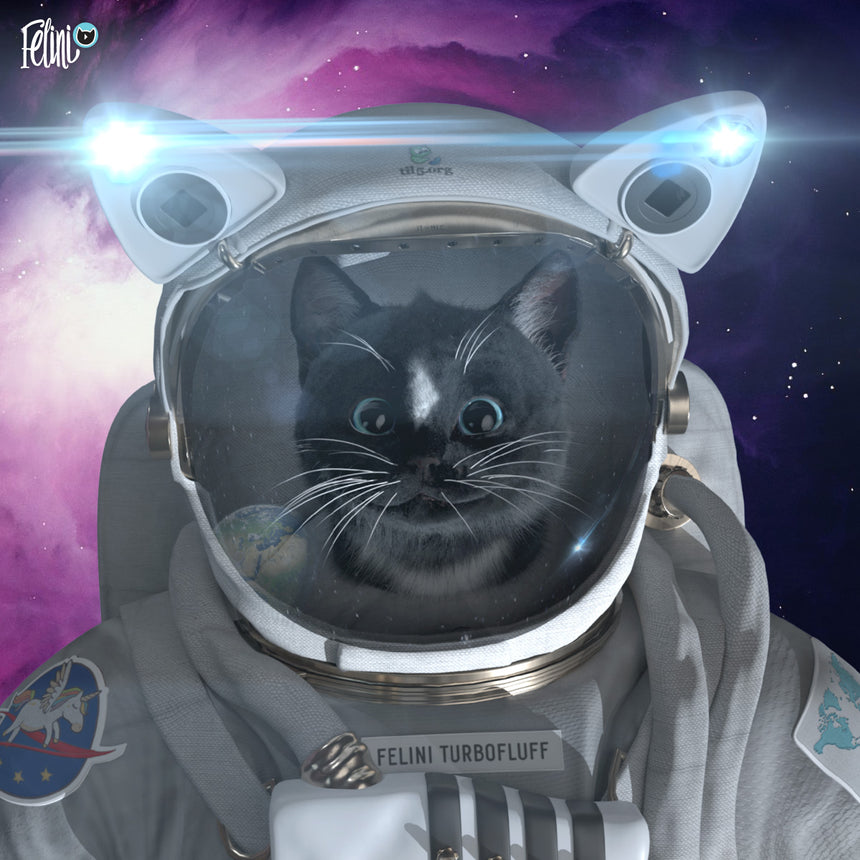 Astronaut Cat Wallpapers