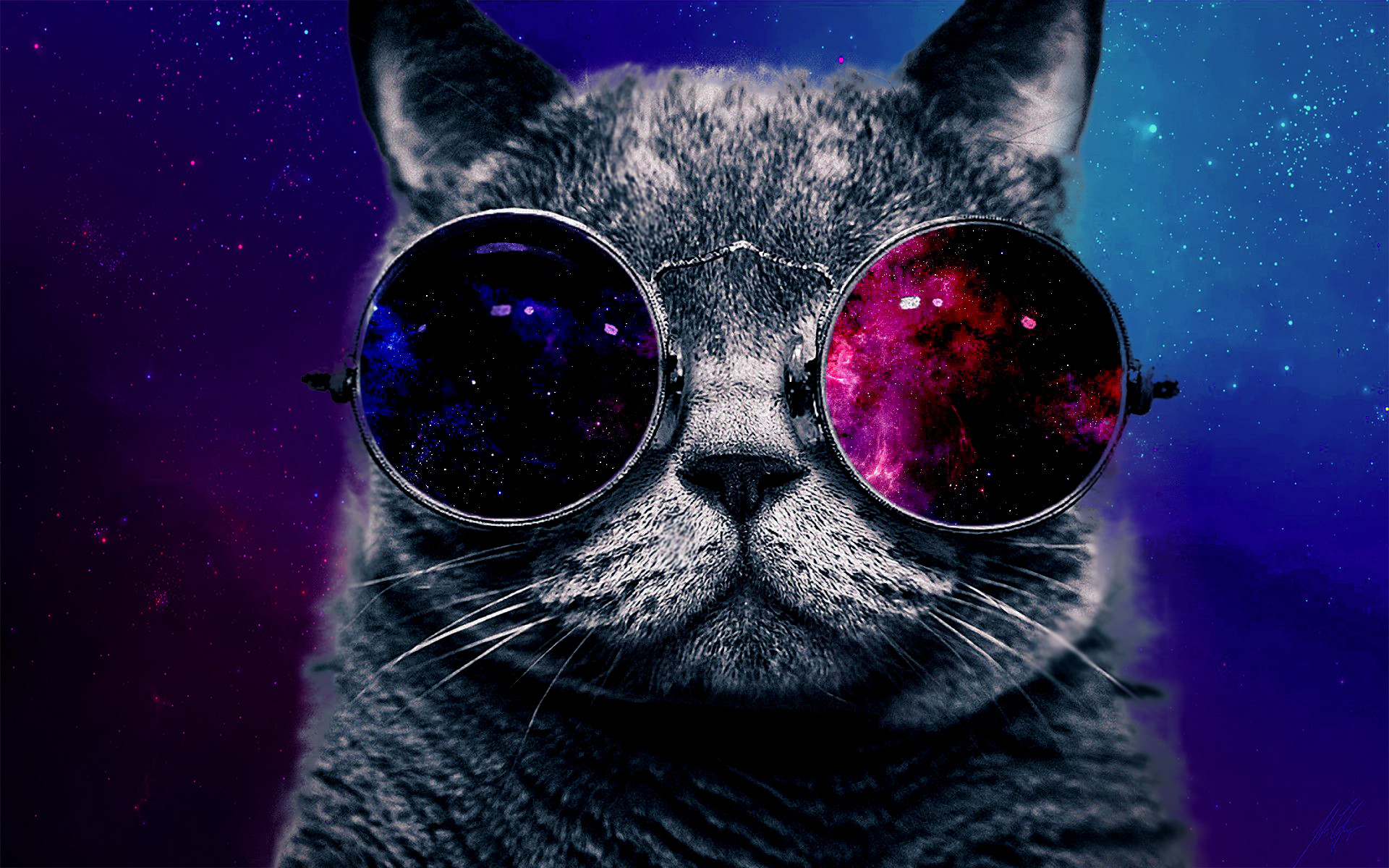 Astronaut Cat Wallpapers