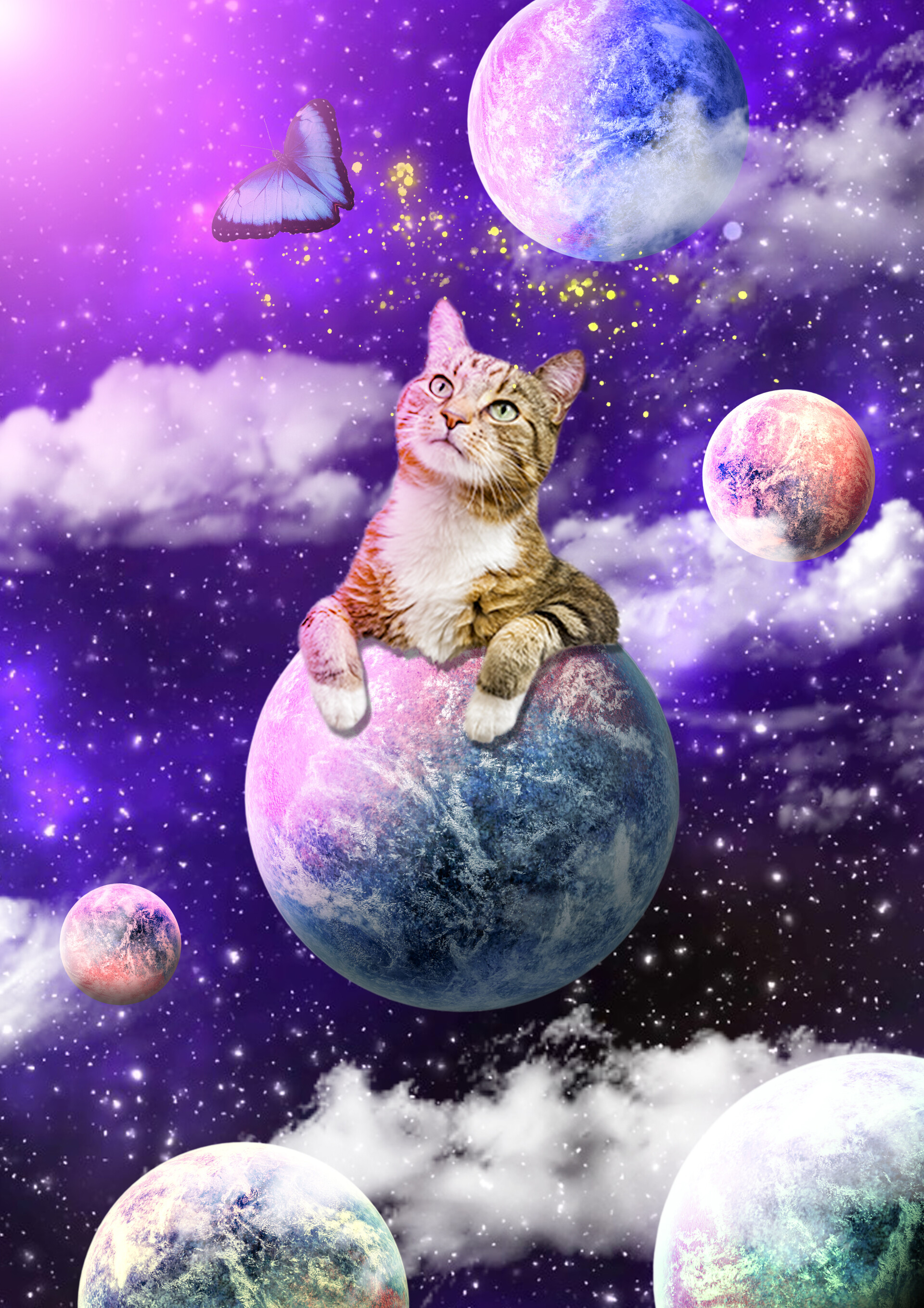 Astronaut Cat Wallpapers