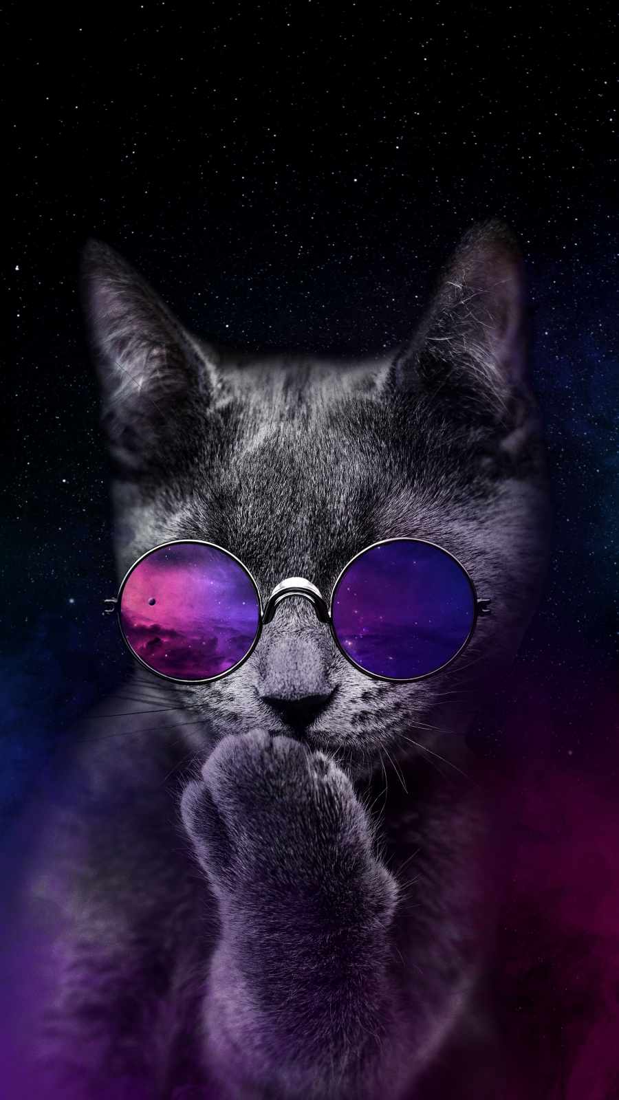 Astronaut Cat Wallpapers