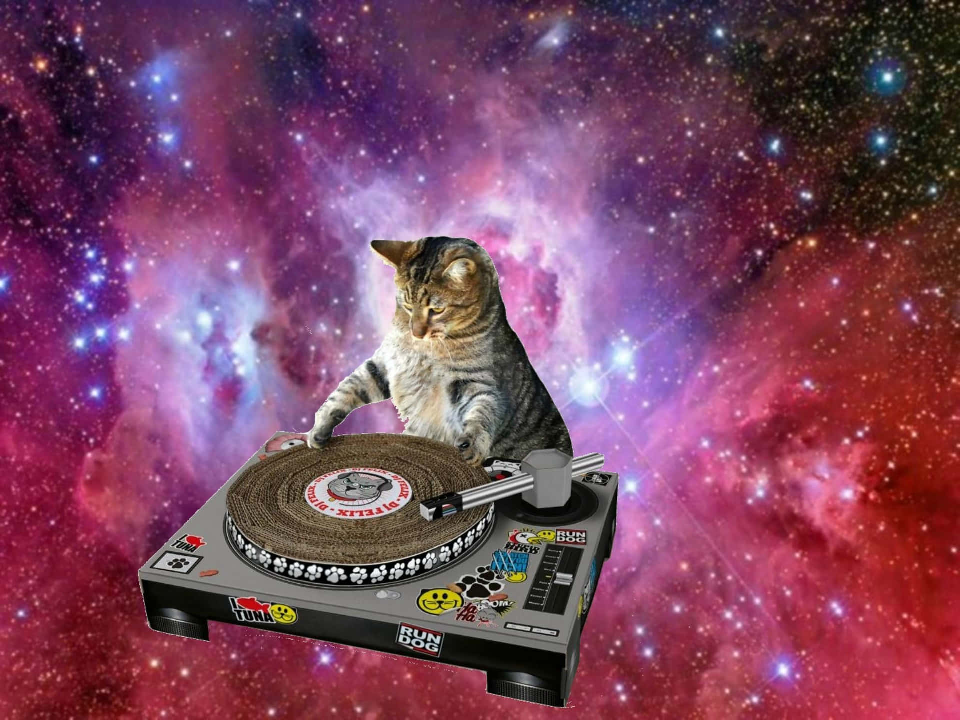 Astronaut Cat Wallpapers