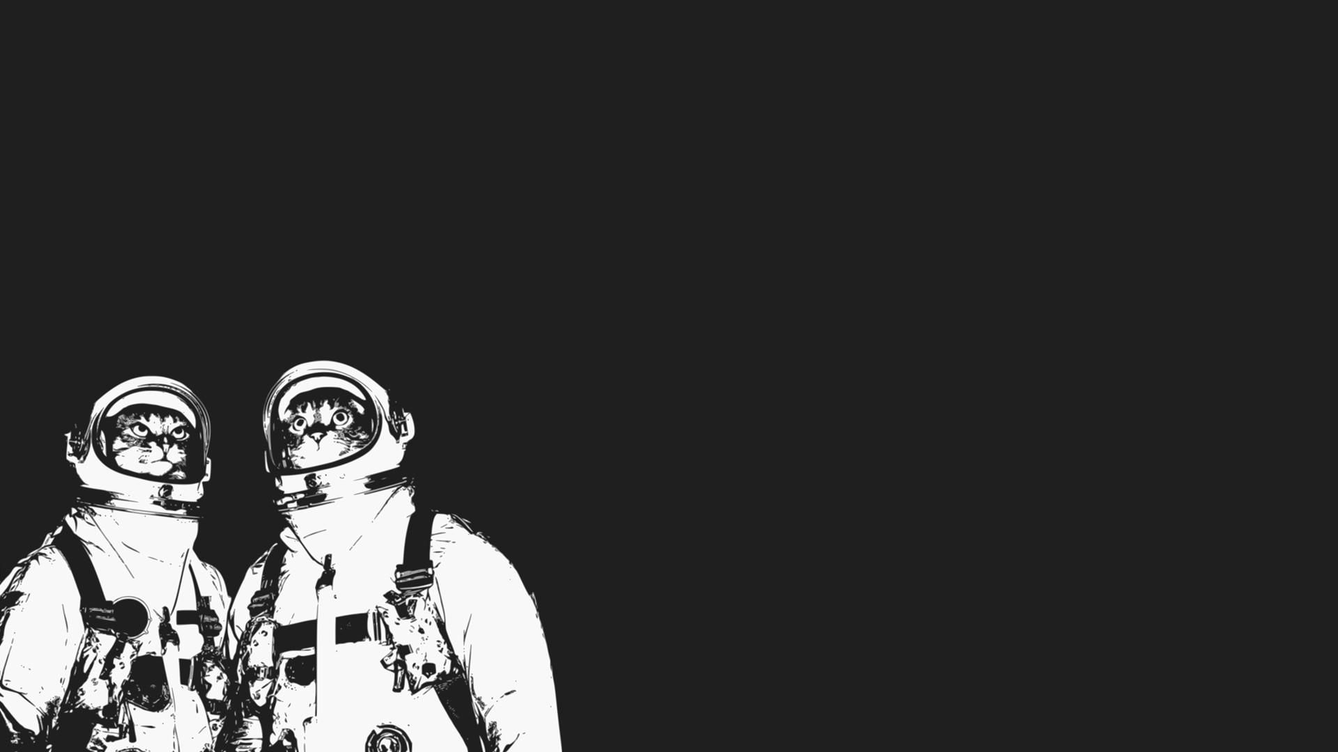 Astronaut Cat Wallpapers