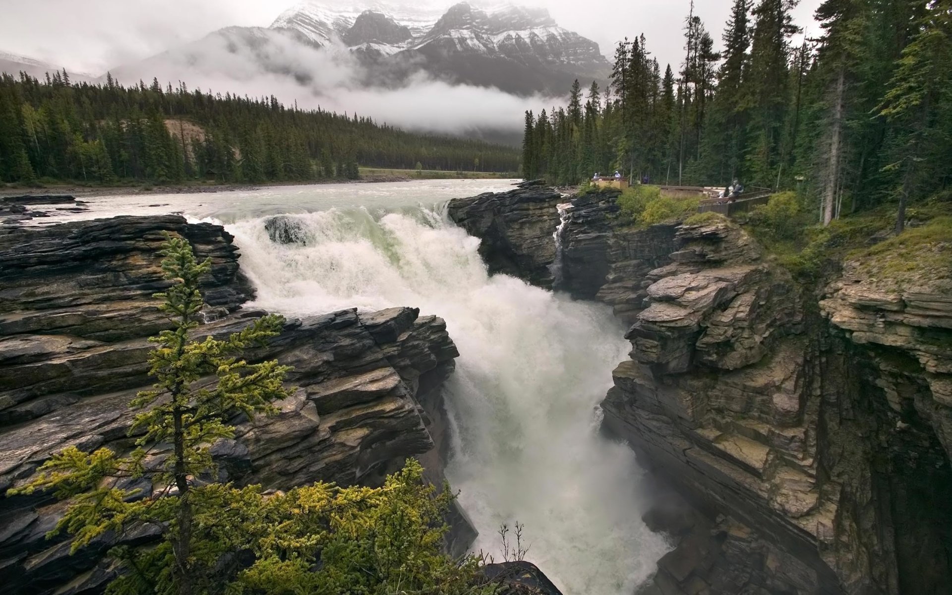 Athabasca Falls Wallpapers