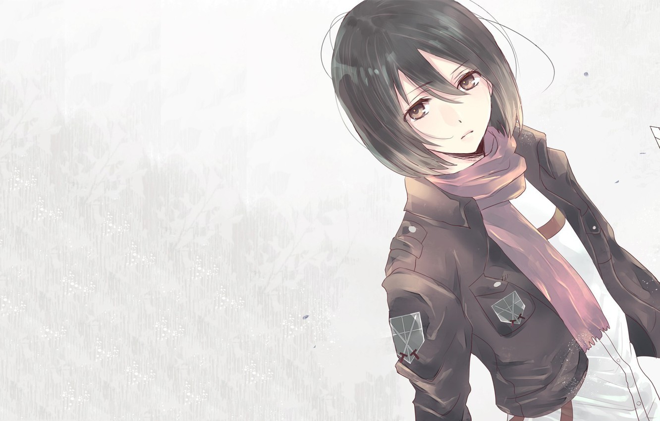 attack on titan mikasa ackerman wallpapers Wallpapers