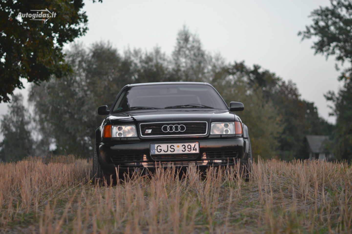 Audi 100 Wallpapers