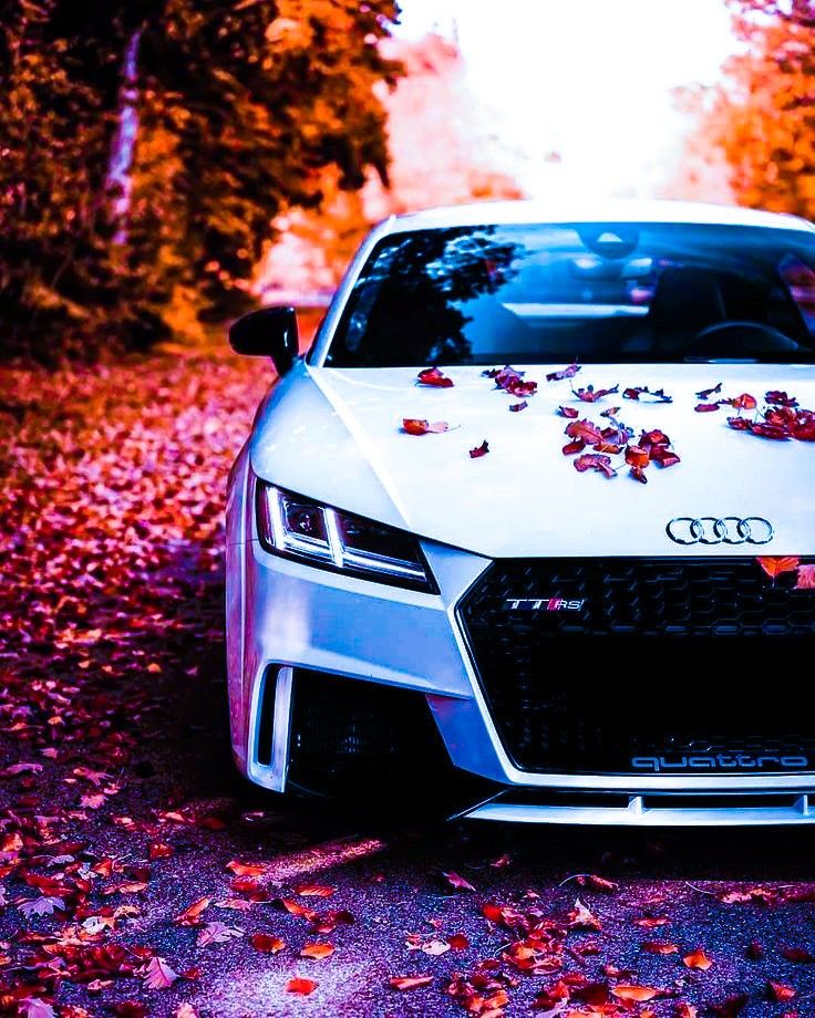 Audi Full Hd Wallpapers