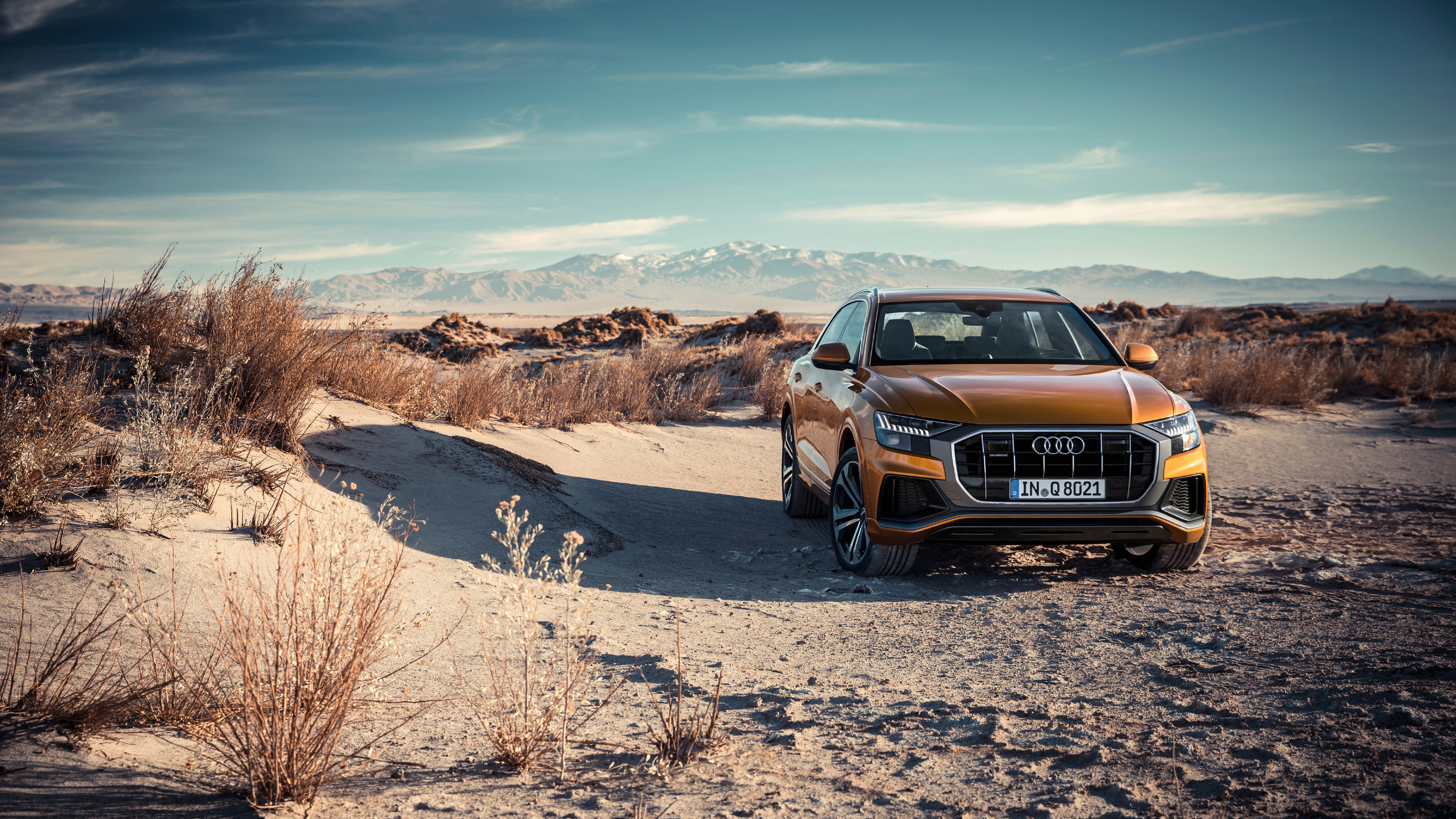 Audi Q8 Wallpapers