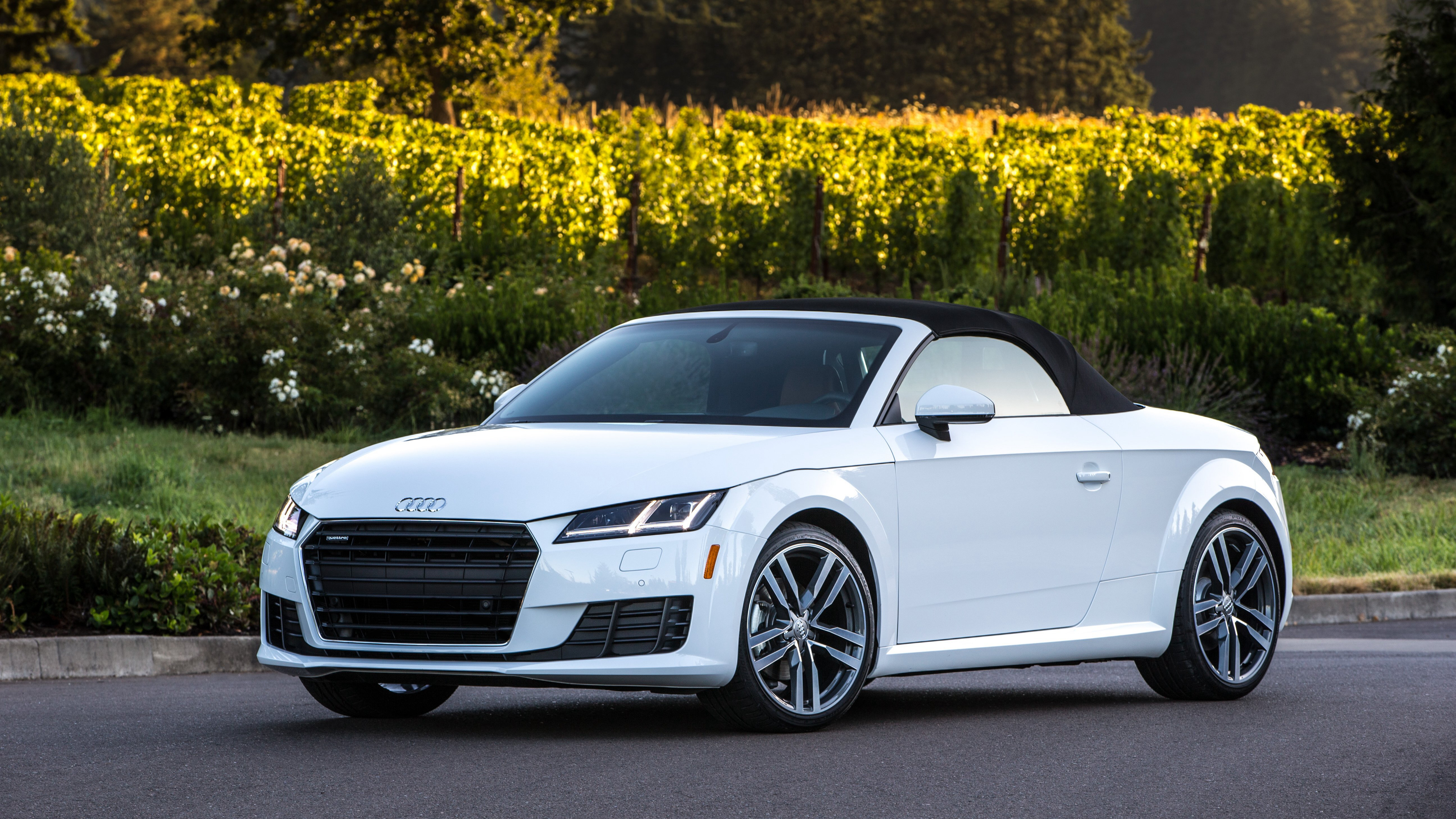 Audi Tt Roadster Wallpapers