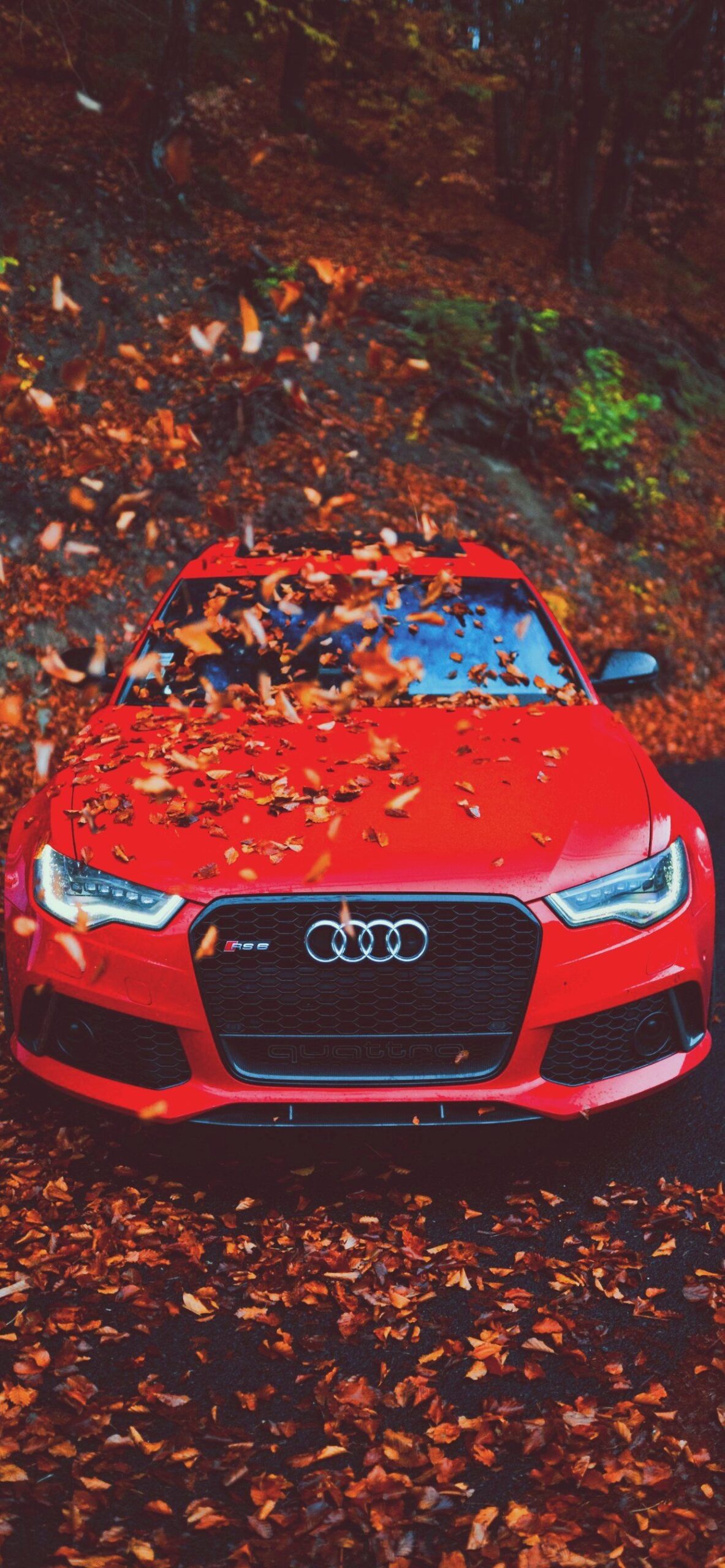 Audi Wallpapers