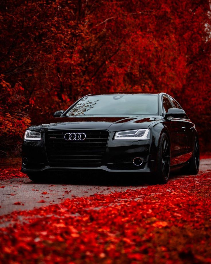 Audi Wallpapers