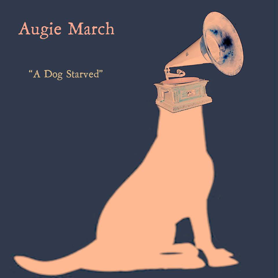 Augie March Wallpapers