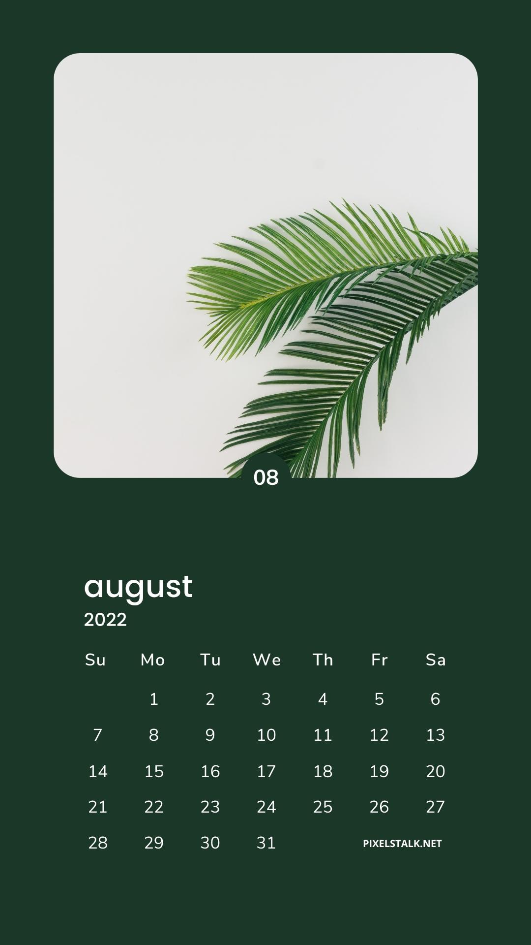 August Iphone Wallpapers