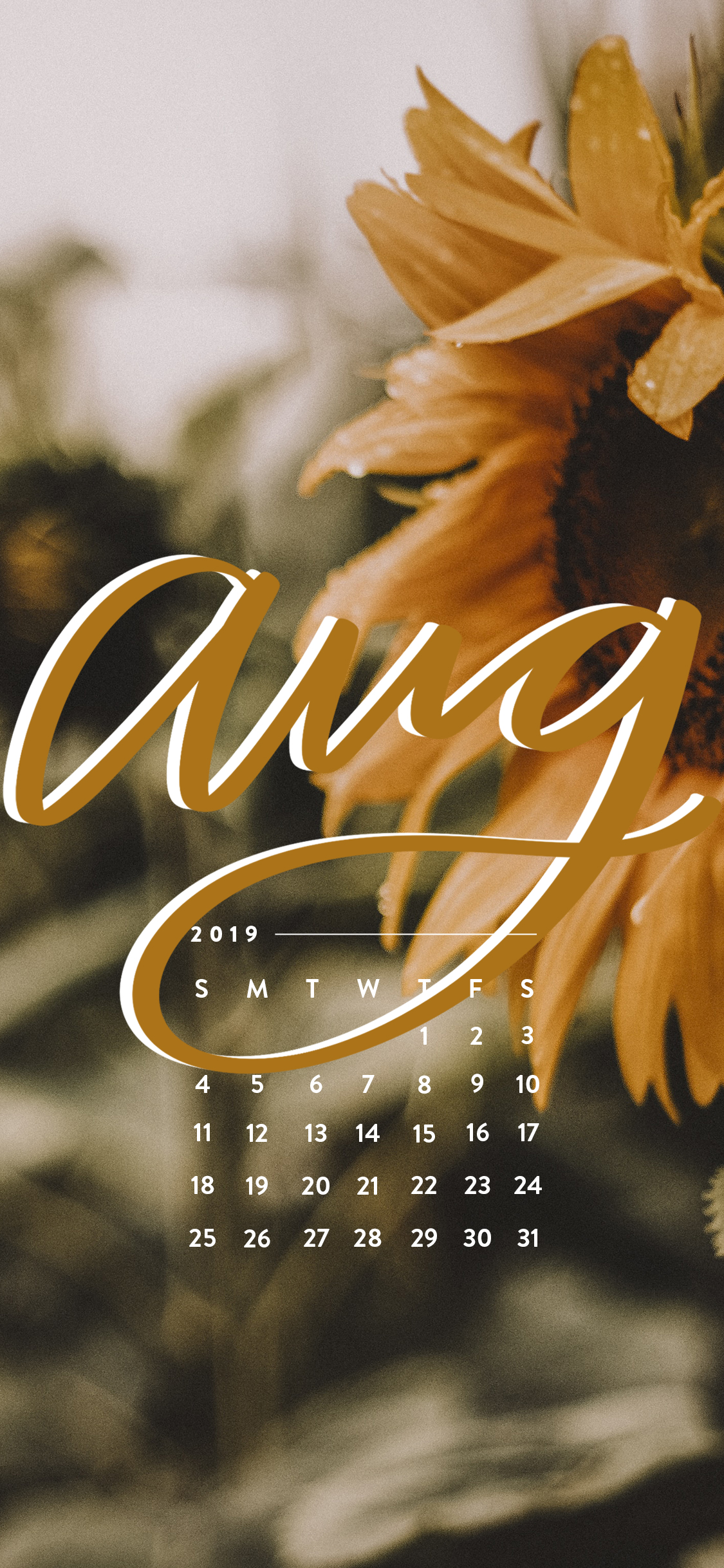 August Iphone Wallpapers