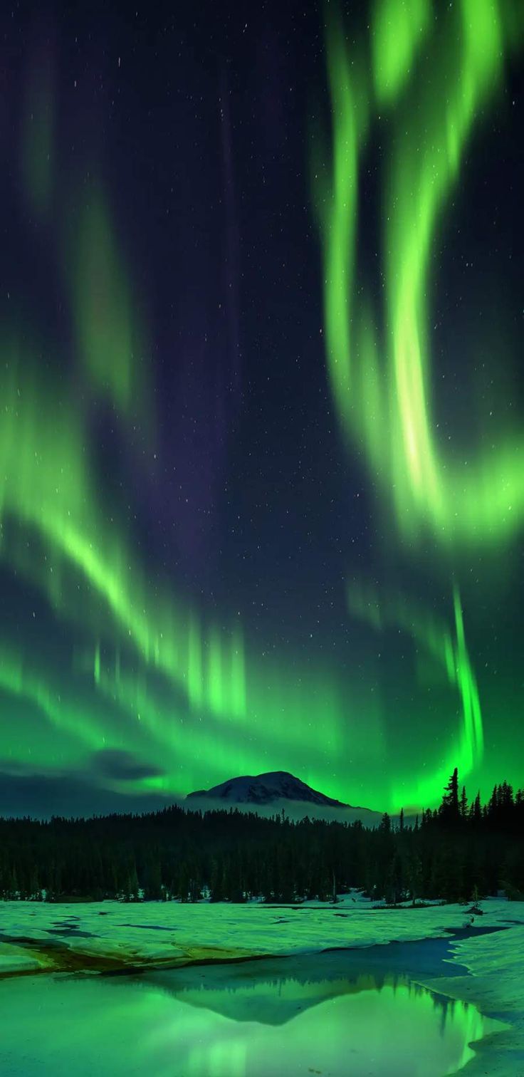 Aurora Borealis At Winter Wallpapers