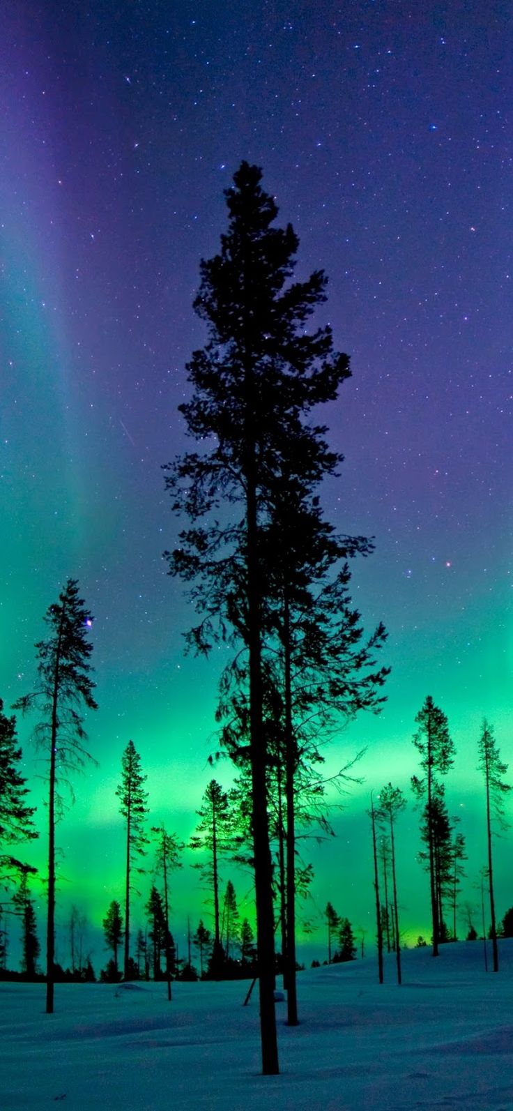 Aurora Borealis Phone Wallpapers