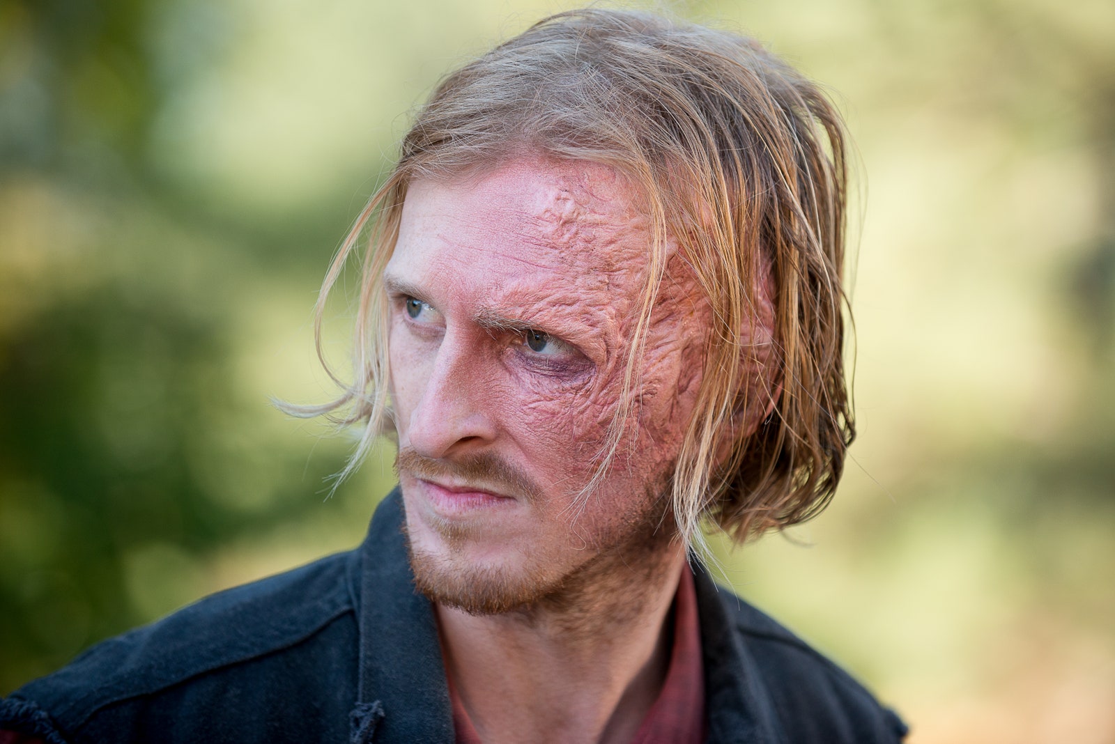 Austin Amelio Wallpapers