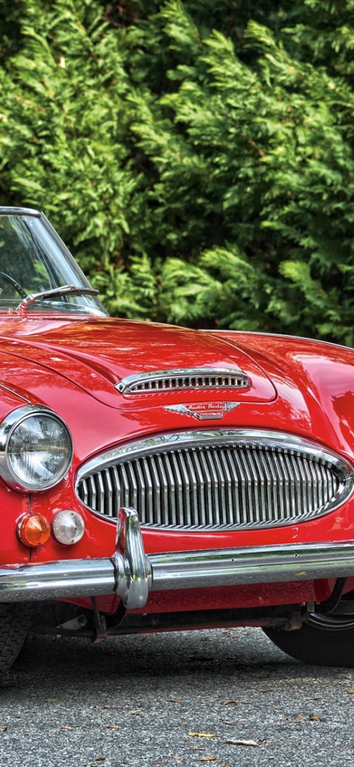 Austin Healey 3000 Wallpapers