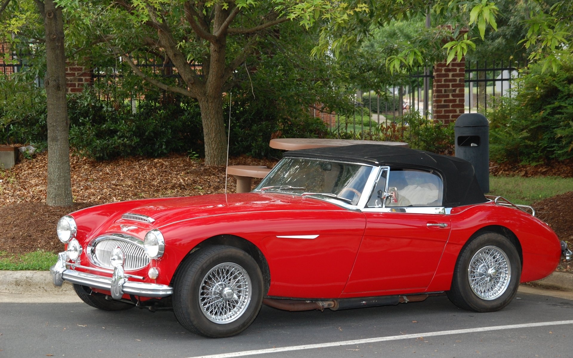 Austin Healey 3000 Wallpapers