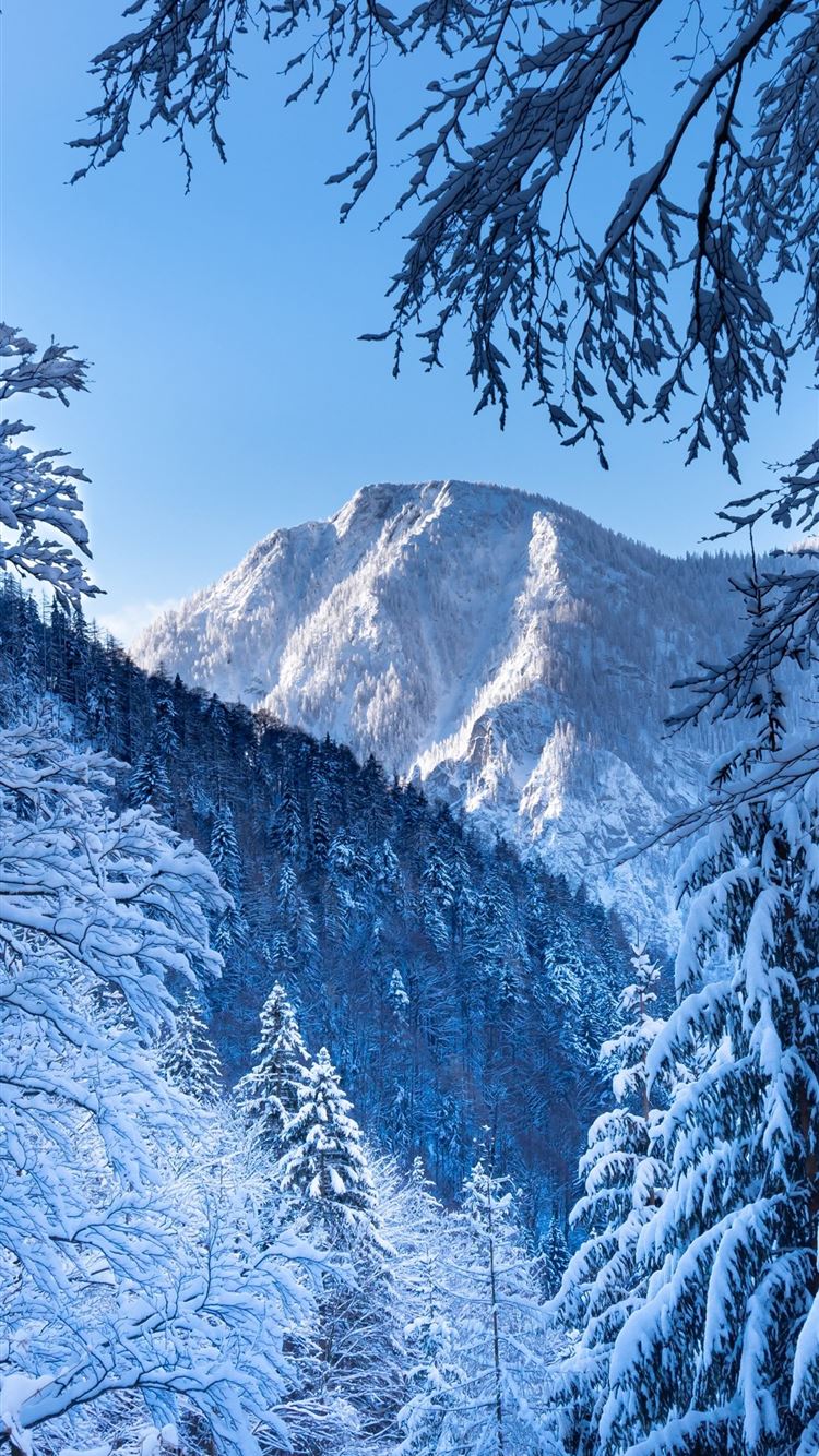 Austria Snow Alps Wallpapers