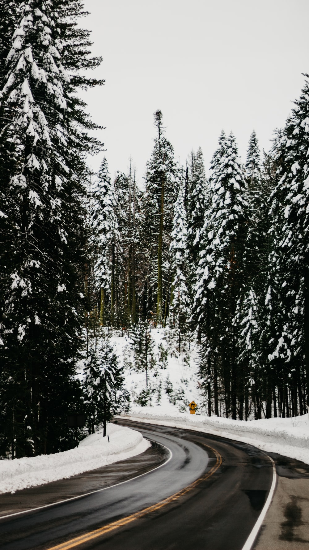 Austria Snow Forest Tree Road Wallpapers