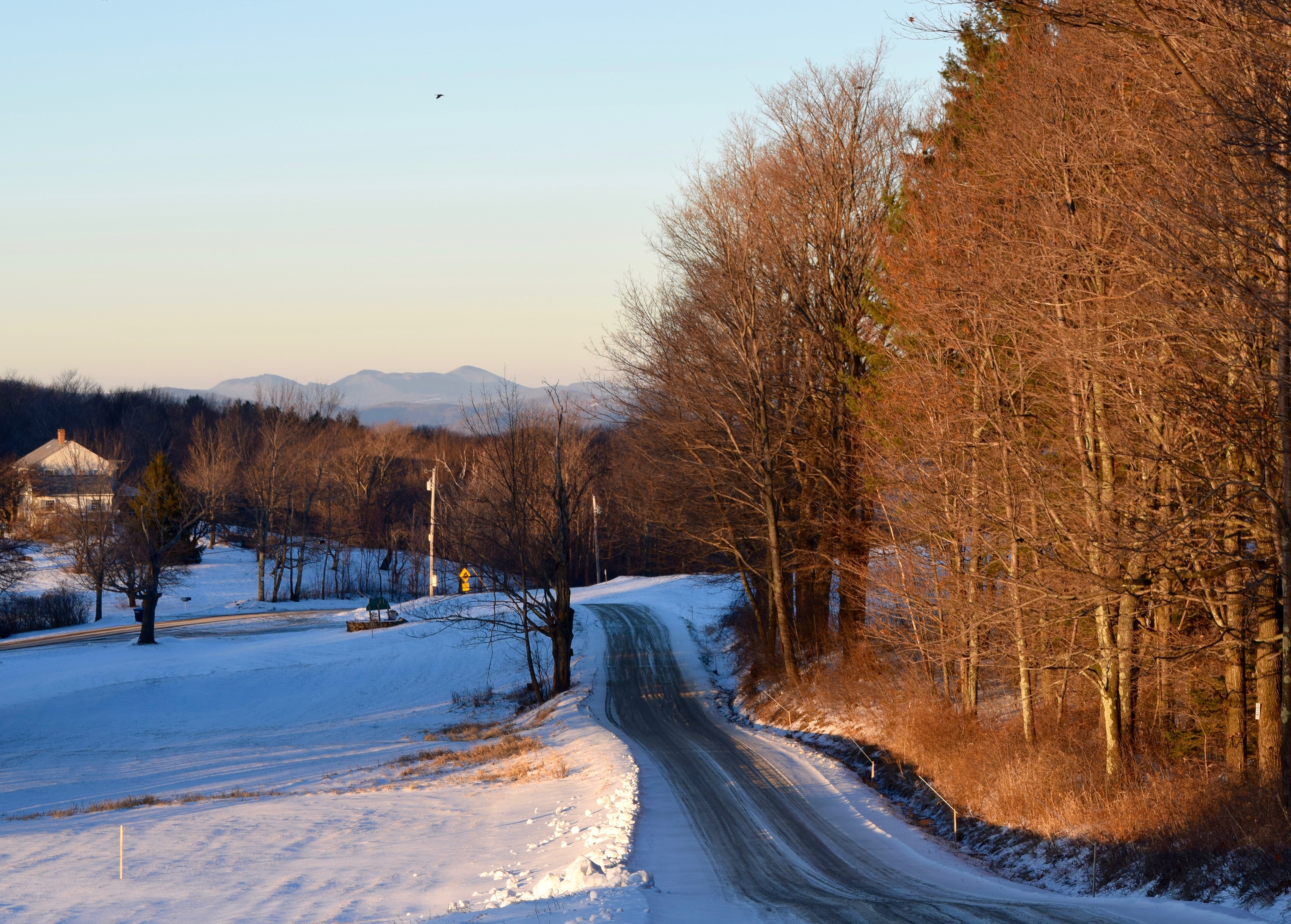 Austria Snow Forest Tree Road Wallpapers