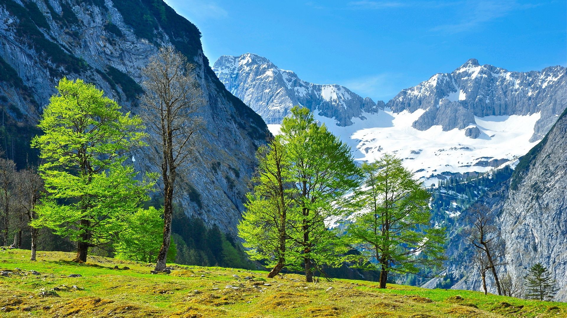 Austrian Alps Wallpapers