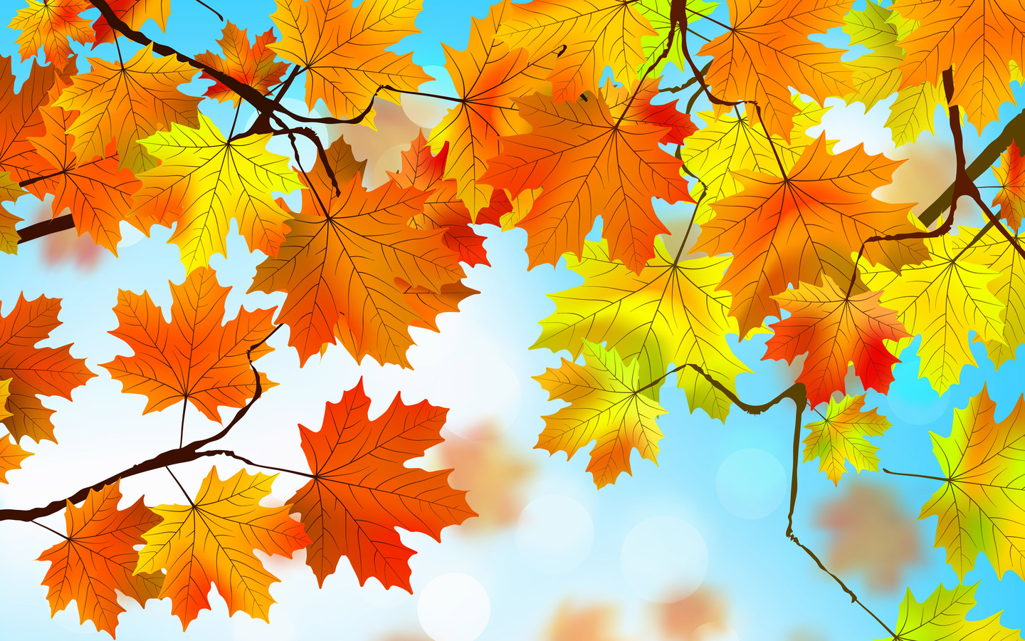 Autumn 1920X1080 Wallpapers