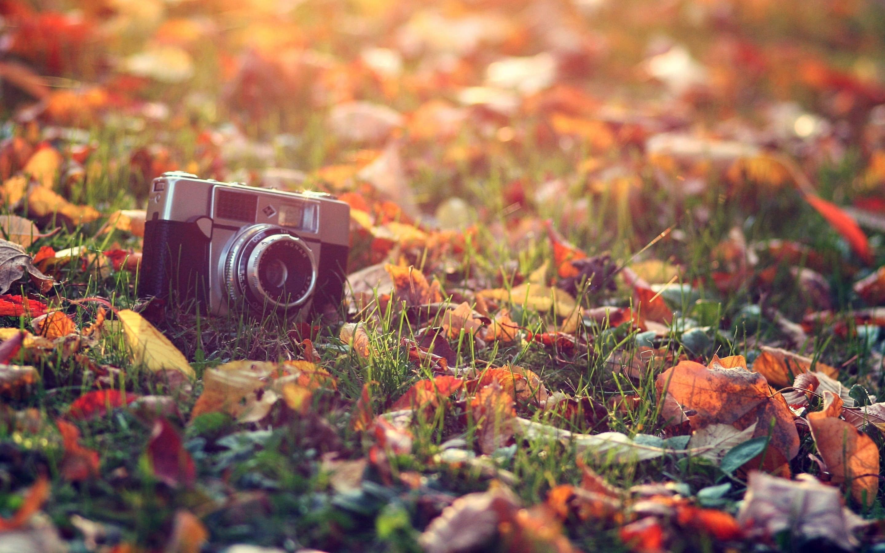 Autumn Aesthetic Laptop Wallpapers