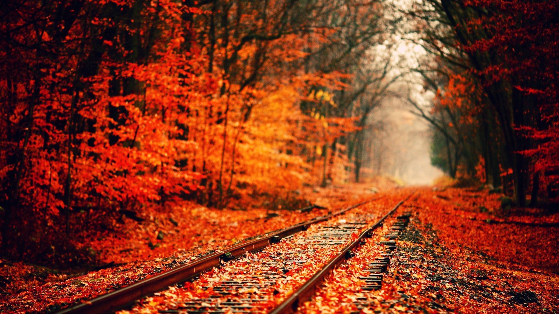 Autumn Aesthetic Laptop Wallpapers