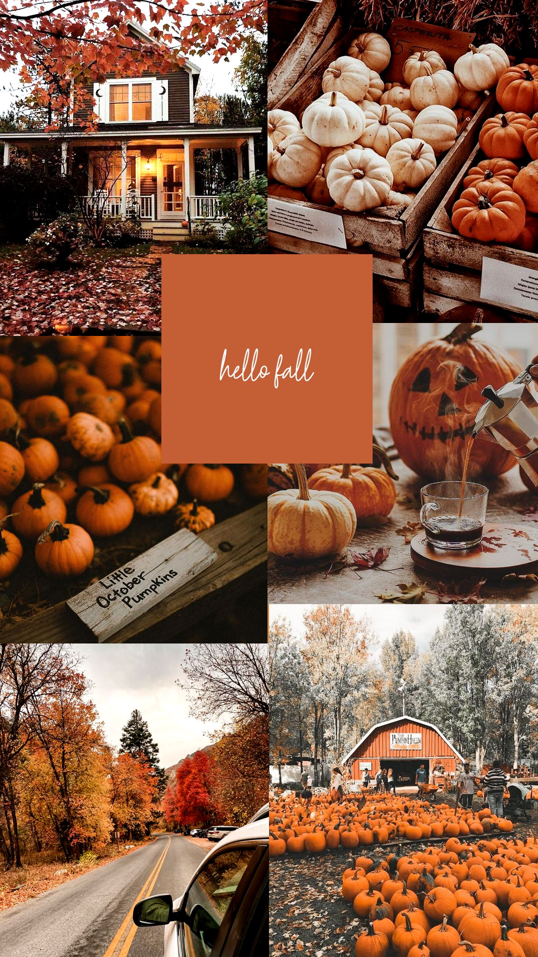 Autumn Aesthetic Laptop Wallpapers