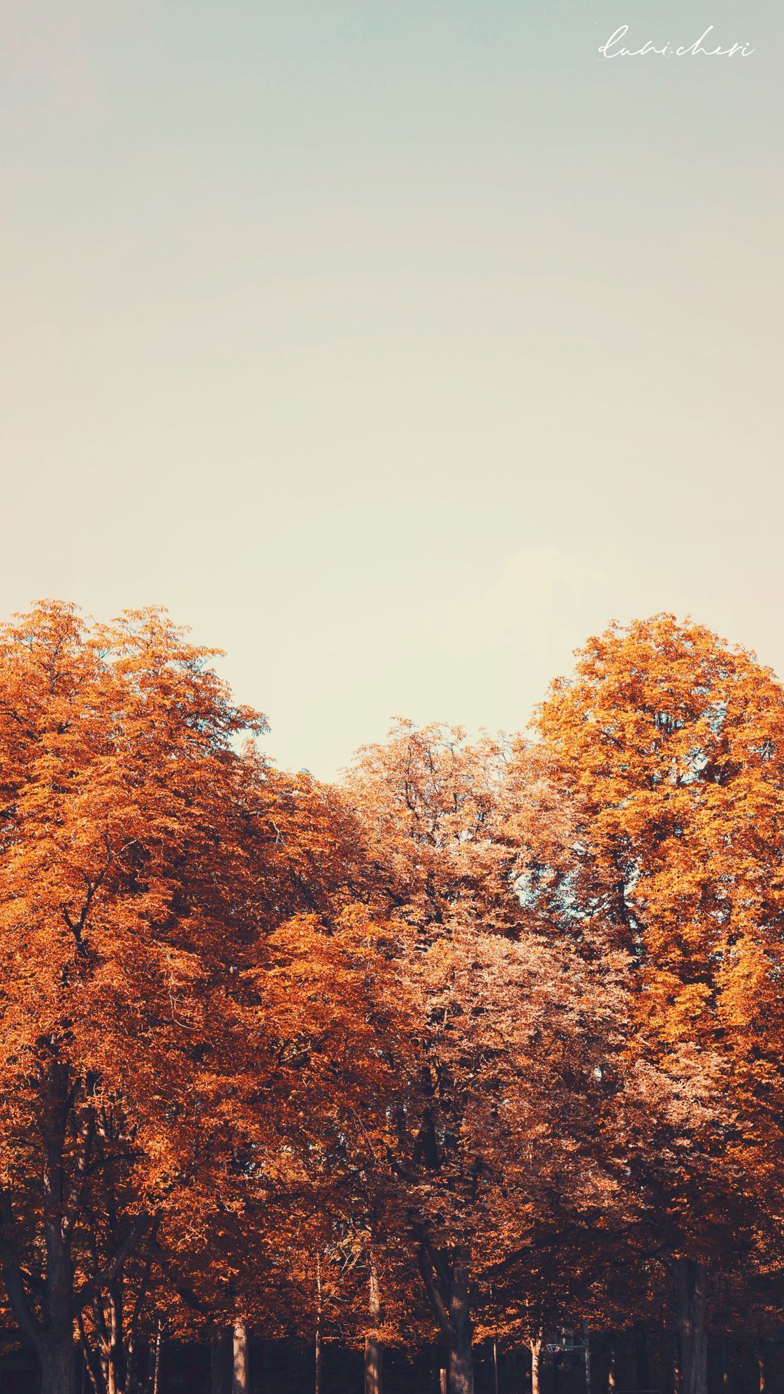 Autumn Aesthetic Wallpapers